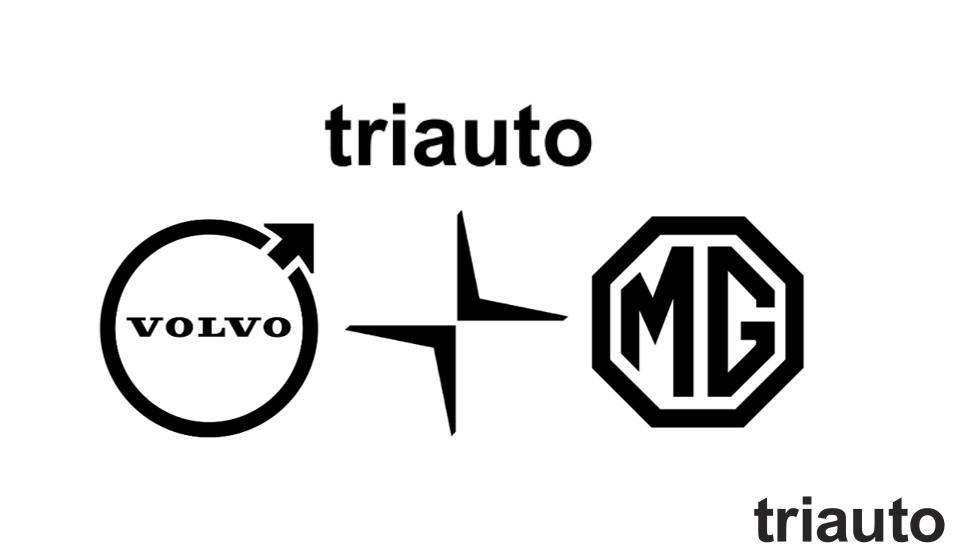 Triauto atualmente representa 3 Marcas.